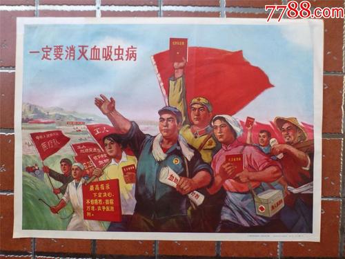 高中毕业证编码怎么找